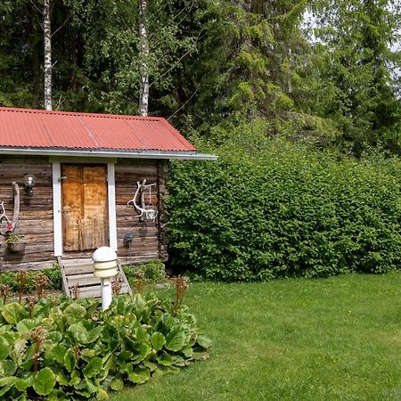 Mummon Moekki - Granny'S Cottage Suonenjoki Exterior photo
